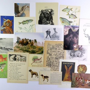 20 pc Picture Pack, Animal Illustrations for papercraft, journal, collage