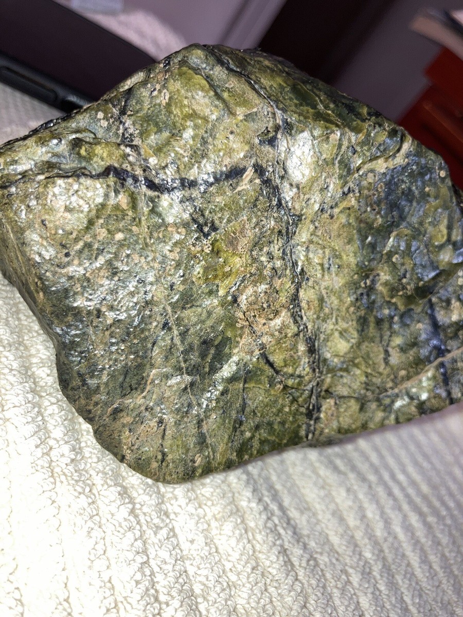 909 Gram TATAHOUINE NWA 7370 Meteorite Diogenite individual