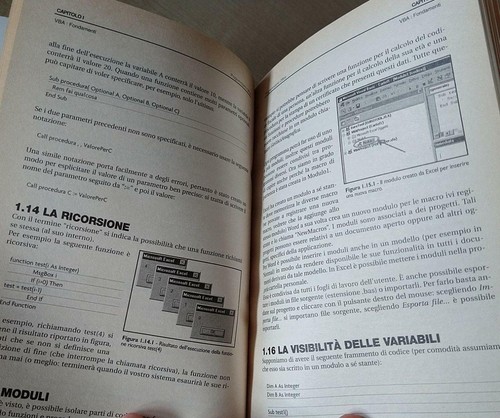 Programmiamo Office - I. Venuti M. Lizza - Edizioni Master - 2003 - Foto 2 di 2