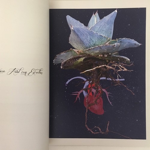The Embittered Heart by Sandra Klein Signed and Inscribed Photobook - Foto 4 di 9