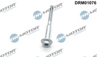 DRM01076 Dr.Motor Automotive Schraube, EinspritzdüSenhalter FüR Audi,Seat,Skoda,
