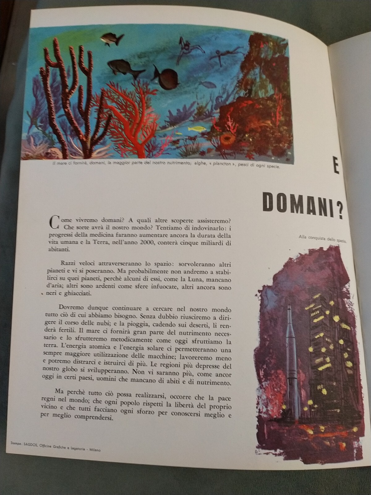 Foto 17 di 17