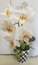 Brand New MACKENZIE CHILDS Courtly Check Potted Orchid Plant 16  