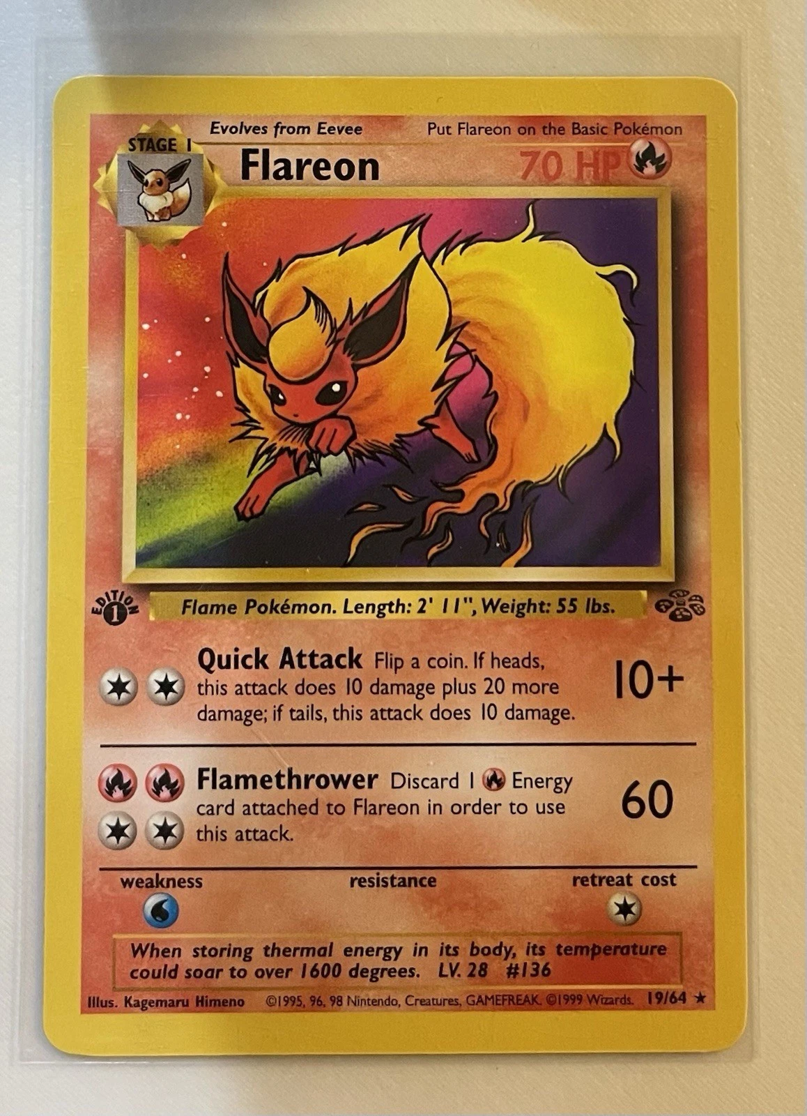 Flareon 19/64 Jungle Regular