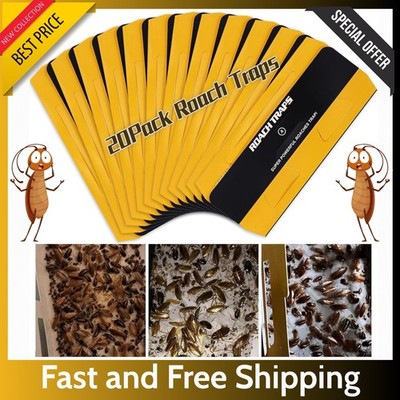 20 Pack Roach Traps   Indoor Glue Traps, Child & Pet Safe, Long-Lasting Bait New