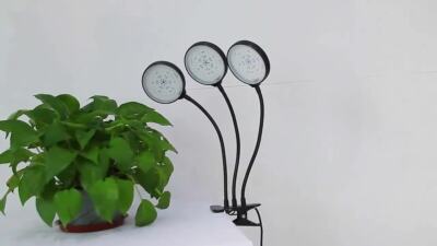 LED Pflanzenlampe 5 Köpfe Mit Timer - Vollspektrum Wachstumslampe Mit Fernbedienung