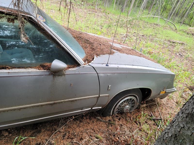 Passenger Right Quarter Glass RWD With Vinyl Roof Fits 81-88 Passenger Right Quarter Glass RWD With Vinyl Roof Fits 81-88