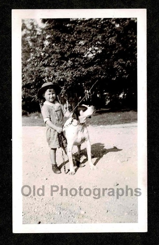 DOG LID BOY BEST FRIENDS ON RURAL DIRT ROAD OLD/VINTAGE PHOTO- H389