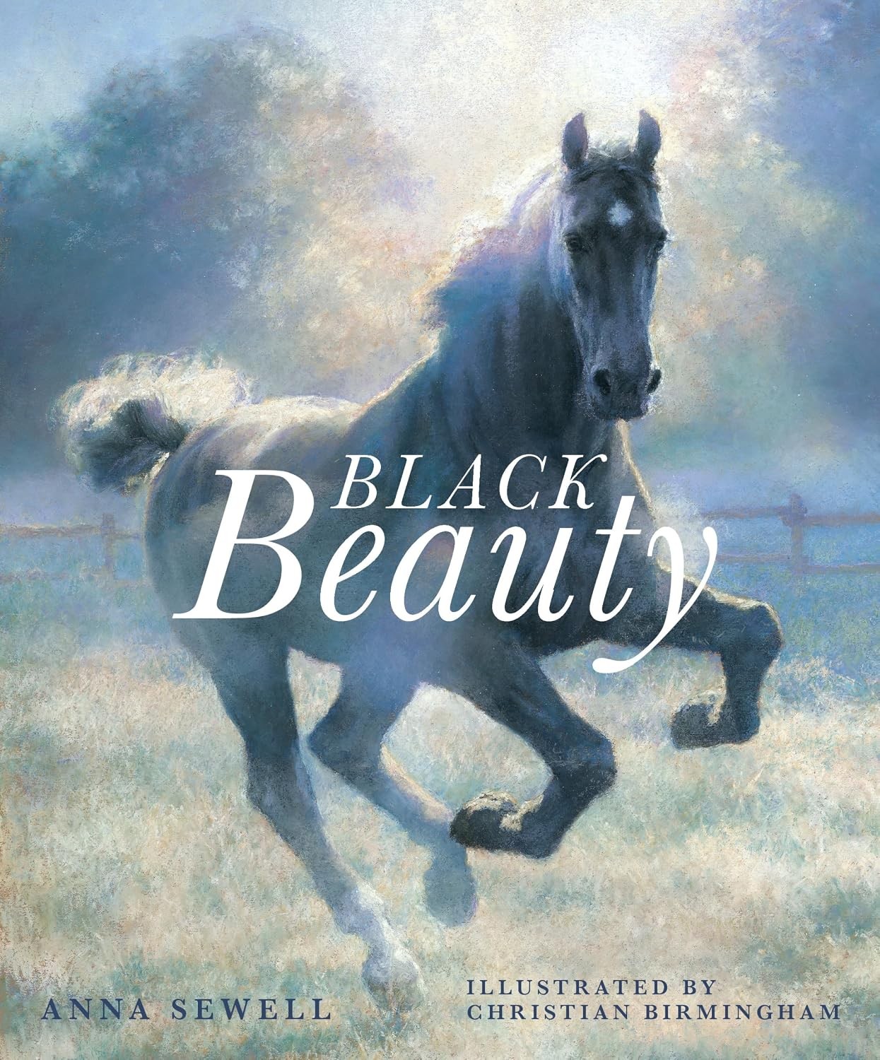 Black Beauty - Image 2