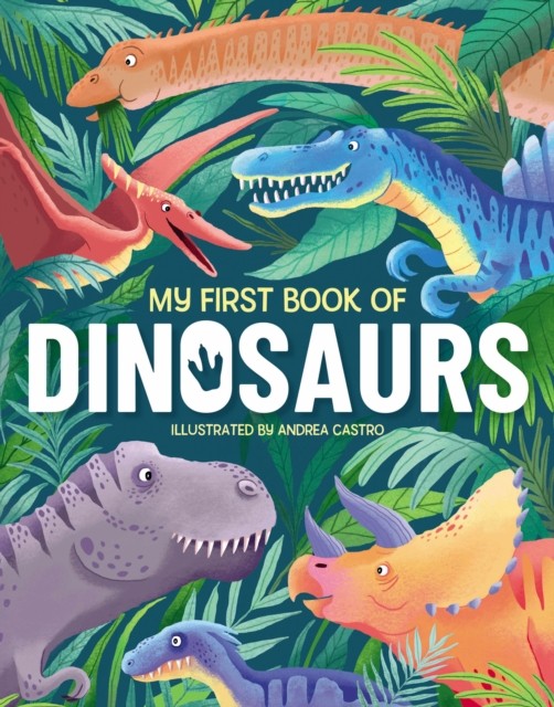 My First Book Of Dinosaurs by Emily Kington HARDBACK 9781915461155