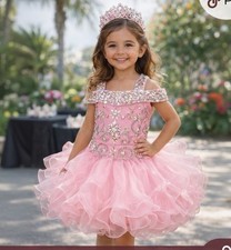 Girls Pink Princess Birthday Pageant Cupcake Couture Tutu Dress