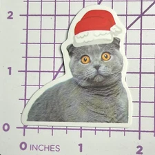 Santa Hat Grey Striped Kitten - Vinyl Sticker Decal Sticker Bomb Humor Funny
