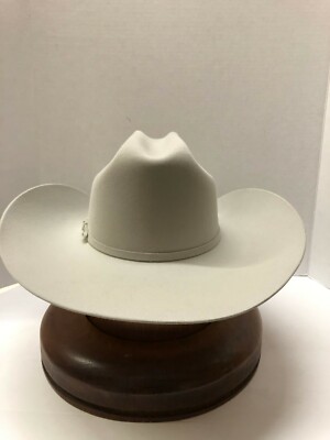 Stetson® 6X Skyline Silver Grey Felt Hat With Free Hat Brush | eBay