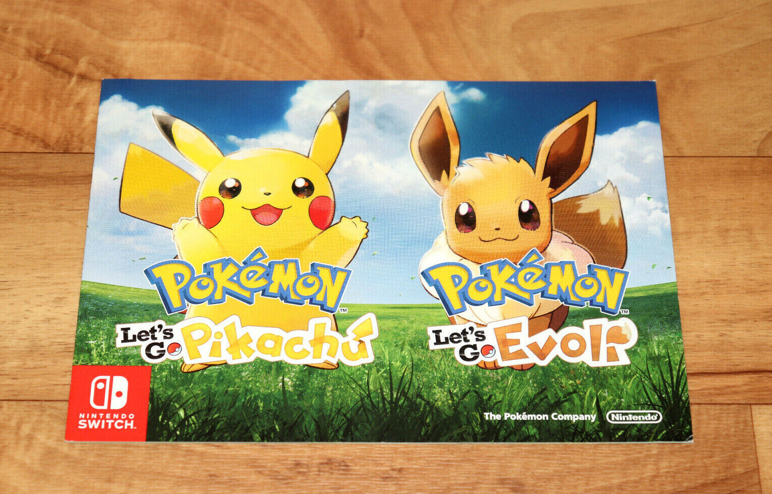 Besondere Sicherheit Pokémon Let\'s Go, Let\'s Booklet eBay Ad Go, Nintendo Flyer Eevee and Pikachu! Switch 