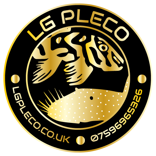 LG PLECO Fry powder all around food, BRISTLENOSE, CORY TROPICAL FISH FOOD 100g - Picture 2 of 2
