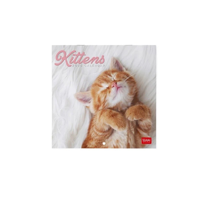 CALENDARIO 2025 da parete QUADRATO legami KITTENS cm 18 x 18