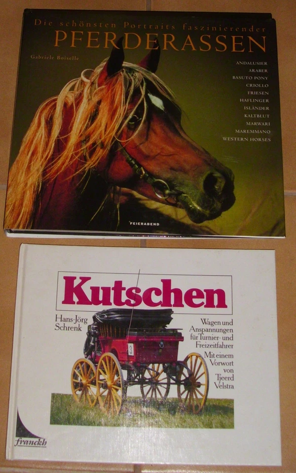 19 Pferdebücher Reiten Pferd Dressur Zucht Haltung Sport Longieren Bücherpaket - Bild 4 von 4