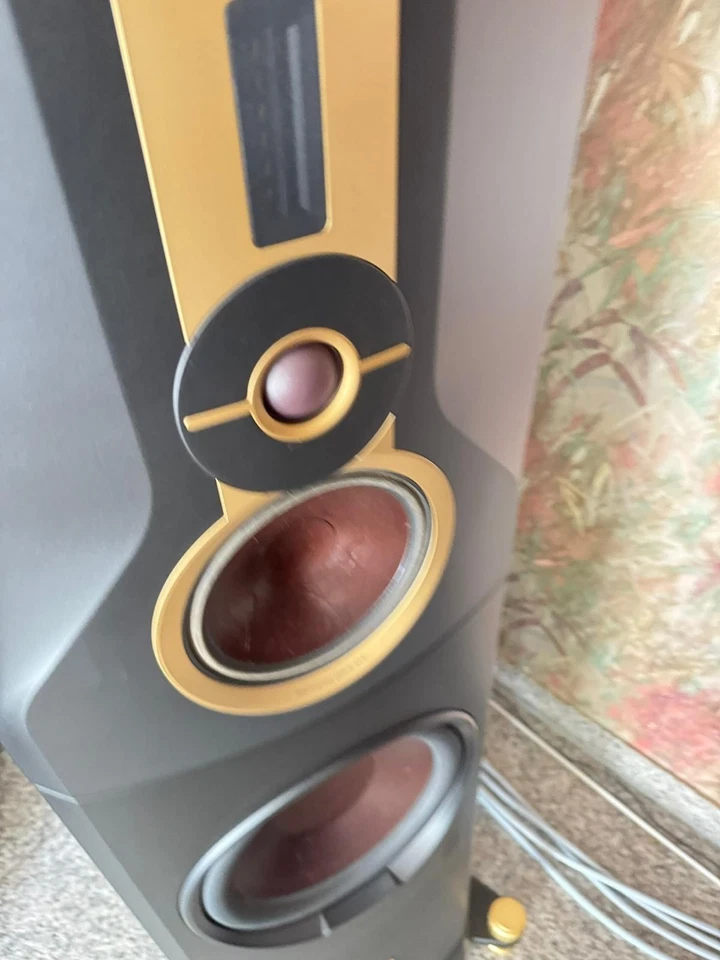 Dali Kore High End Standlautsprecher in Ebony aus Februar 2023 - Bild 3 von 4