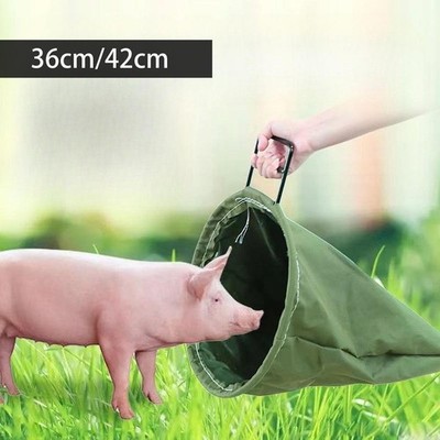 Schweinekopfabdeckung Schutzteller vielseitig einfach