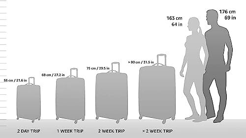 Travel Select Amsterdam Expandable Rolling Upright Luggage Burgundy 4-Piece Set
