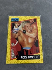 1991 Championship Marketing WCW Ricky Morton #102 (RC)