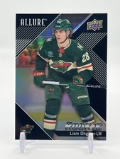 Liam Ohgren 2024-25 Upper Deck Allure Black Rainbow RC #121