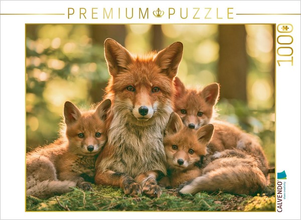 Calvendo Puzzle Together, Every Path Is A Home | 1000 Pieces, Finished Size 25.2-image