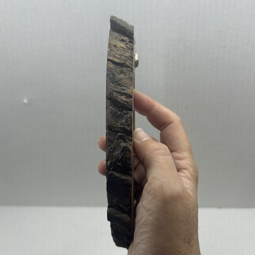 Vintage Set Of Stained Live Edge Tree Wood Wall Slice Hanging Decor Country Core - Picture 11 of 15