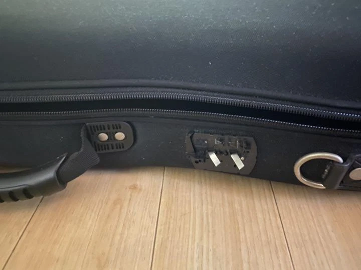 Bacchus 5-string bass Safe Packing! - Image 4 of 4