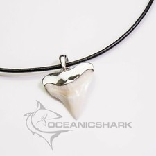 Bull shark tooth solid sterling cap silver men's gift s12