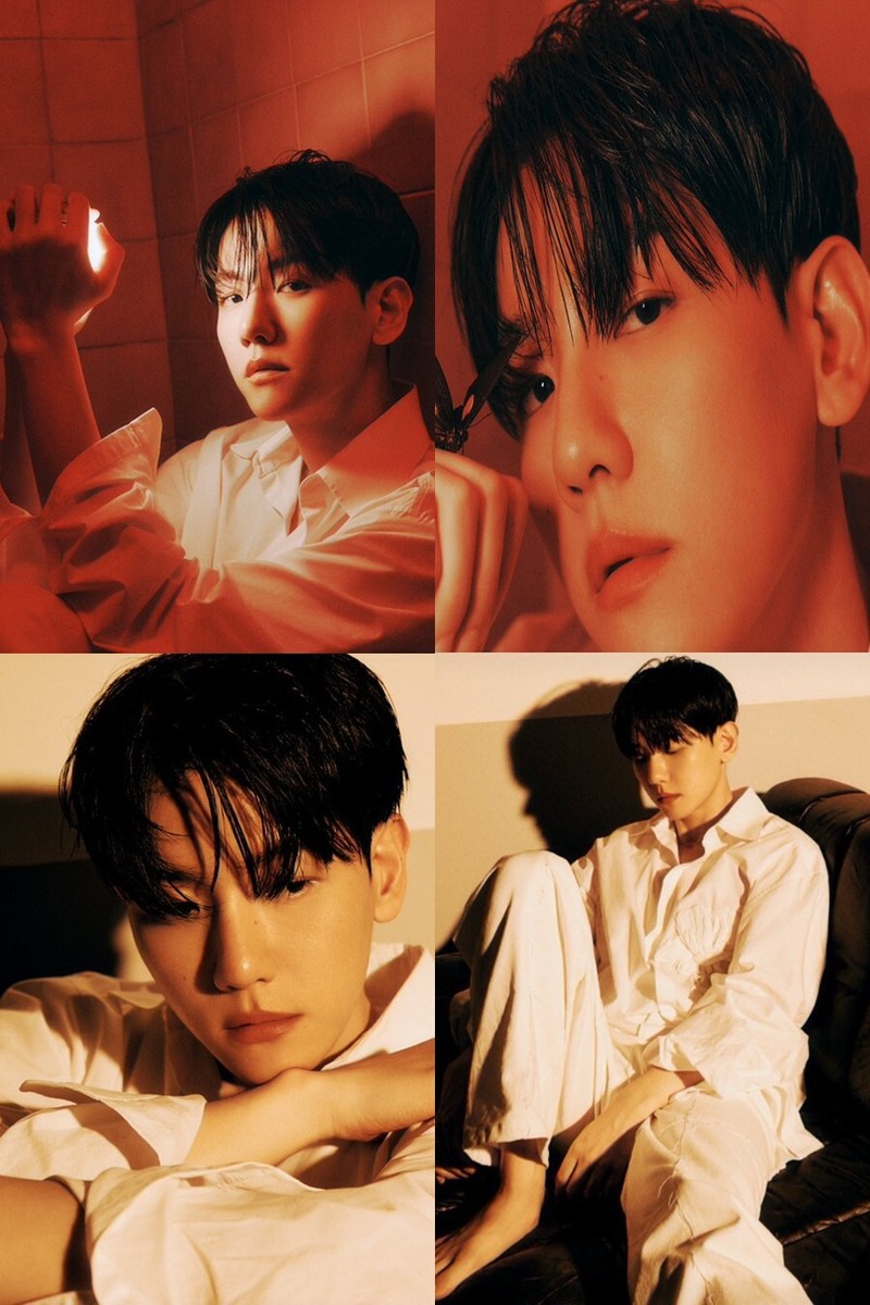 EXO - EXO ベッキョン everline  musickorea ラキドロ EXO BAEKHYUN HELLO,WORLD 4th Mini Album PINEAPPLE Ver/CD+