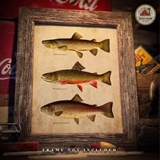 Vintage Trout Poster Art Print Fishing Lures Hunting Cabin Lake Home Wall Decor