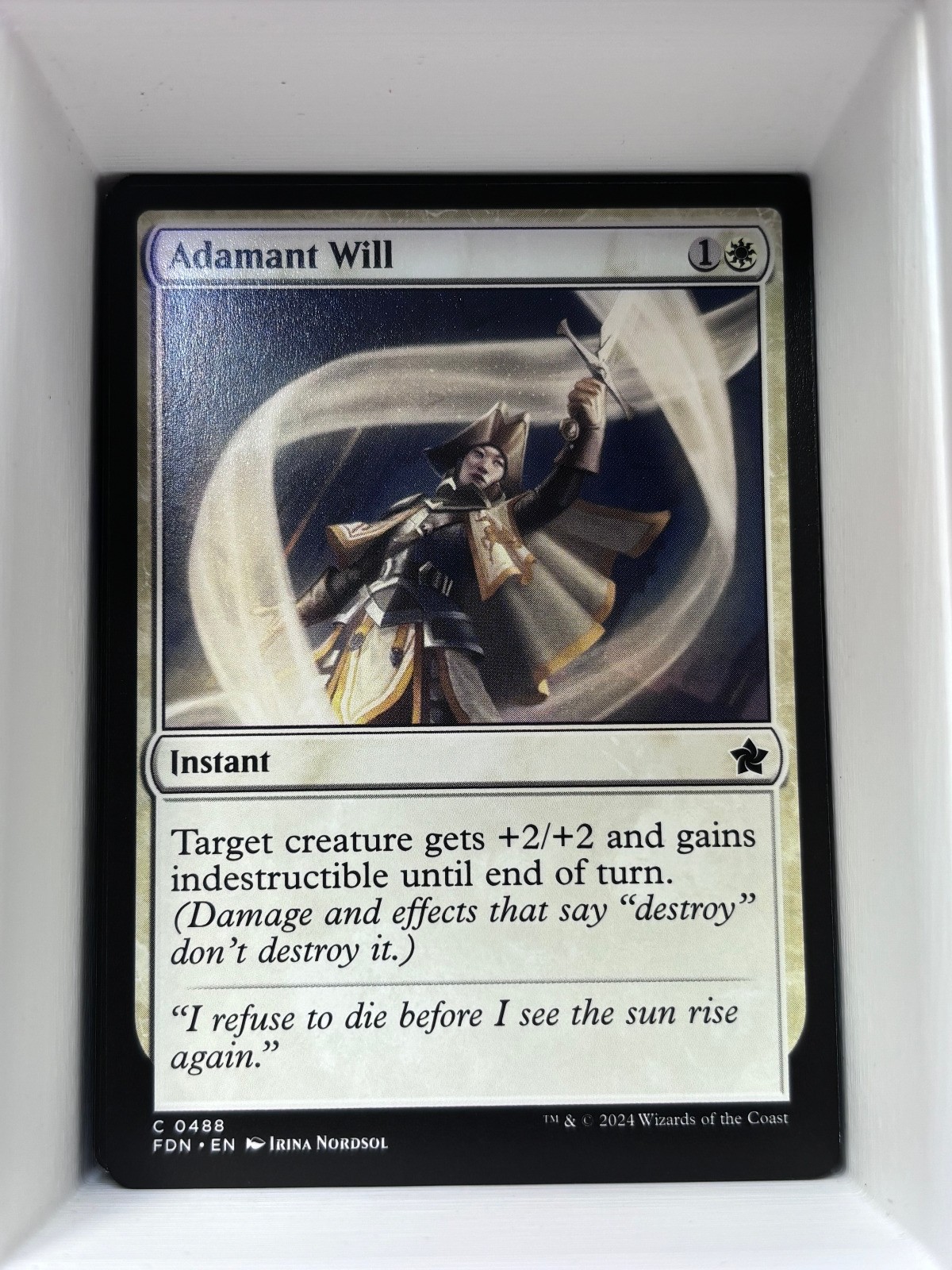 Adamant Will C Foundations 488 NM
