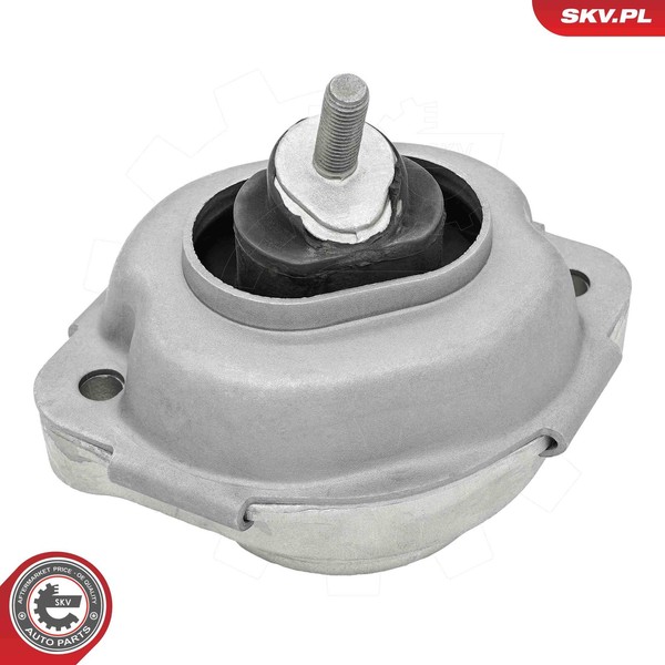 Esen SKV 75SKV060 Lagerung, Motor Links Rechts FüR BMW-image