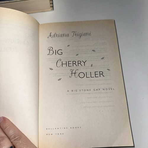 Posten 12 Adriana Trigiani gemischte Bücher Big Stone Gap Lot & Tonys Frau Schuhmacher ++ - Bild 24 von 24