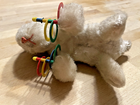 Bild 6 von 11