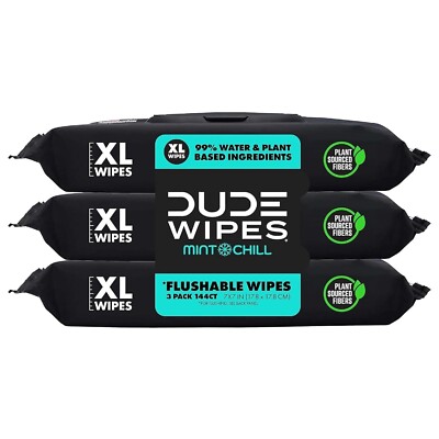 DUDE Wipes Flushable Wipes - 3 Pack  144 Wipes - Mint Chill Extra-Large