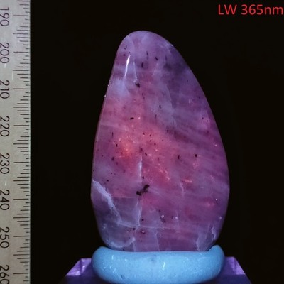 Fluorescent Sodalite in Nepheline tumbled polished specimen Canada 250ct