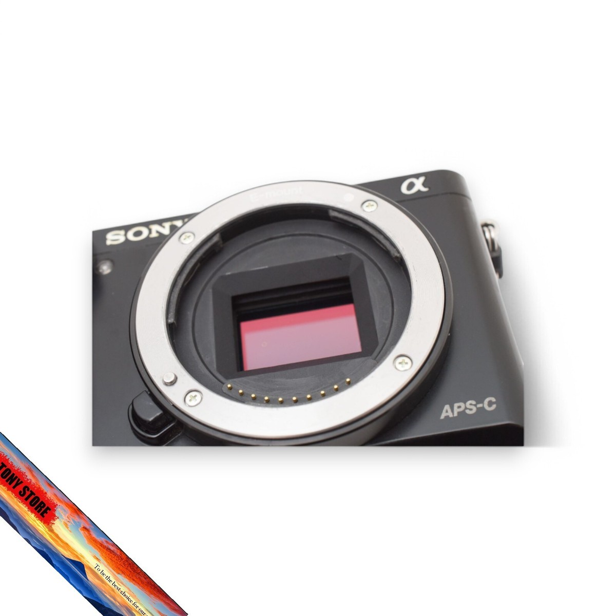 Sony Alpha A6000 ILCE-6000 24.3 MP Mirrorless Compact Digital