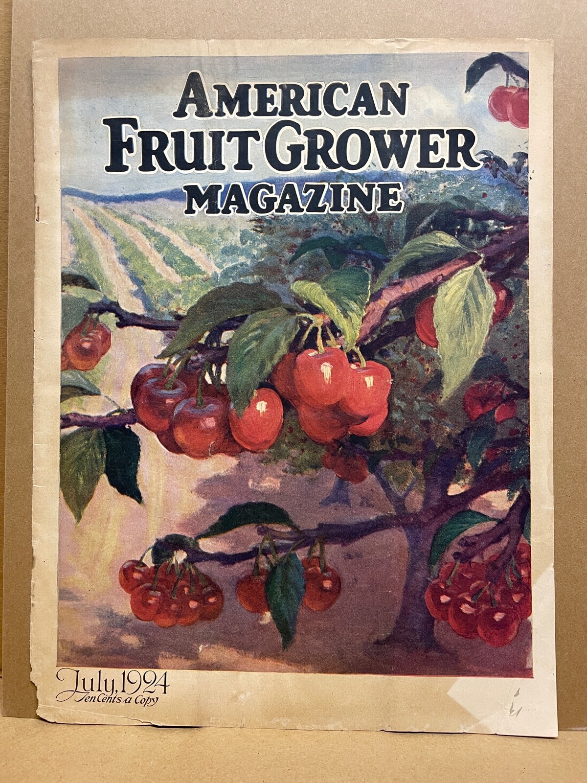 Original 1924 Vintage BUICK Advertisment FRUIT GROWERS Magazine Apple