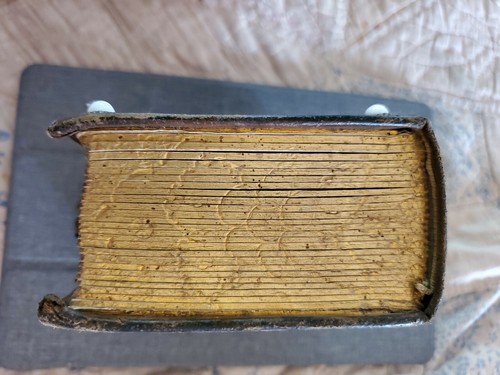 Vintage Cdv Card Photo Album Leatherbound Full (25) Cards - Picture 5 of 12