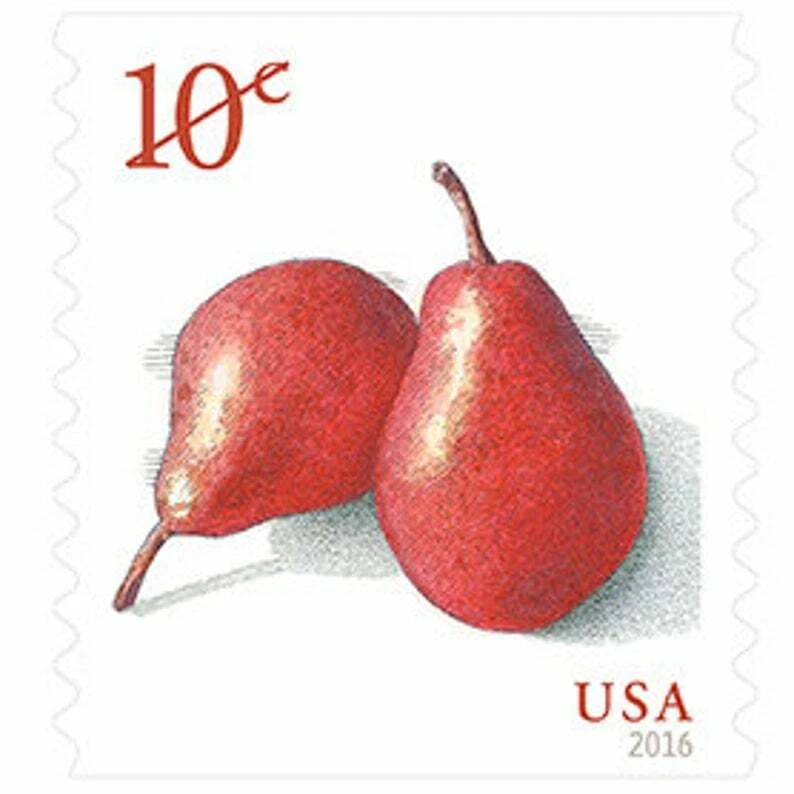 US 5039 Red Pears 10c (2016) - 100 Postage Stamps, Single Coil Strip w PNC#s NEW - Image 4 of 4