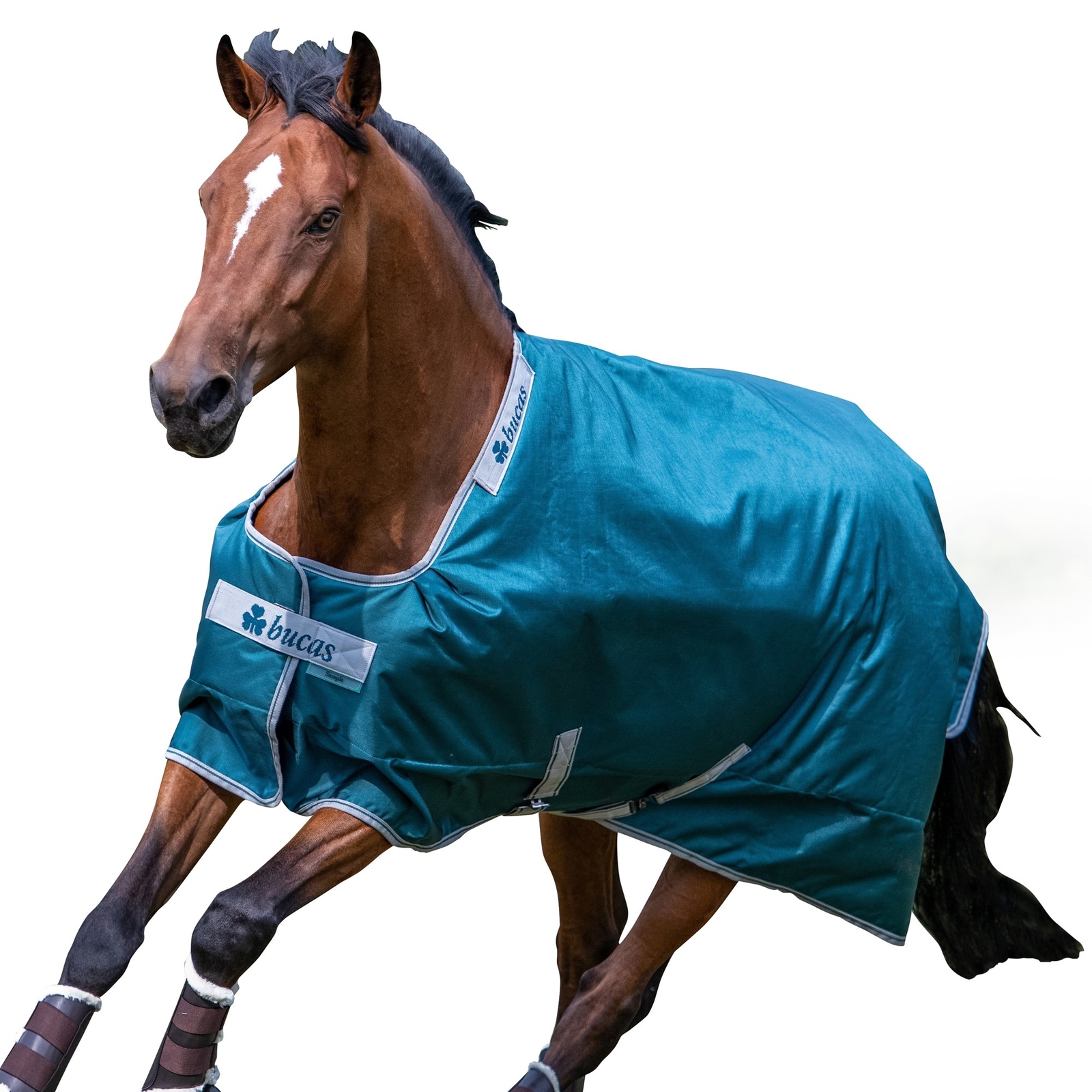 Bucas Atlantic 50g Unisex Horse Rug Turnout - Green All Sizes Bucas Atlantic 50g Unisex Horse Rug Turnout - Green All Sizes