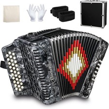 Diatonic Accordion 31 Key 12 Bass Gray F/B/E Airtight Bellows