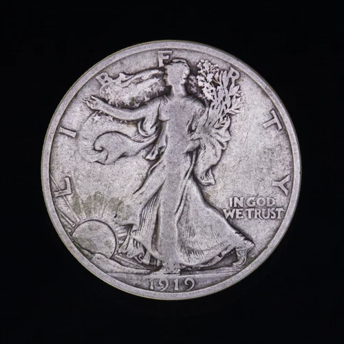 1919-D Walking Liberty Half Dollar MAJOR KEY DATE Good Denver