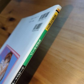 Roommate Ryoko Summer Vacation Official Strategy Guide Sega Saturn 1997 PN