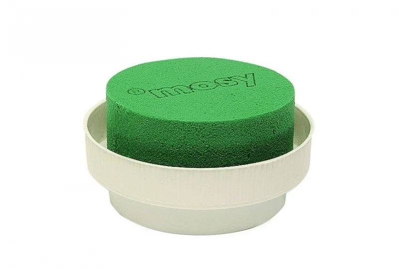 mosy Steckschaum-Zylinder in runder Schale, 10 cm Blumengestecke Steckmasse nass