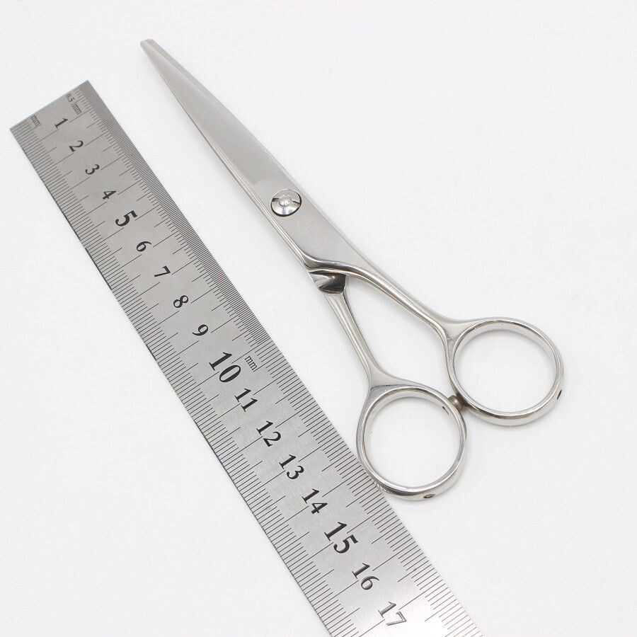 Mizutani Scissors 5.8 in Professional Tool Symmetry M Right