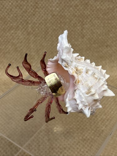 Pink Art Glass Sea-Life Sculpture Hermit Crab Genuine Murex Shell 4” Beach - Picture 7 of 9