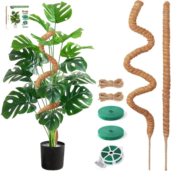 Rankhilfe Monstera Moosstab PflanzenstüTze Kletterpflanzen Zimmerpflanzen-image